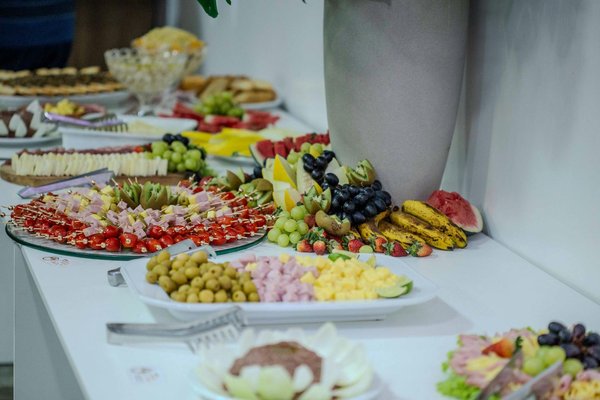 Vin bio bourgogne : les bouteilles incontournables sur le marché