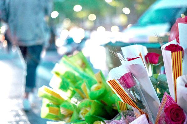 Est-ce que le thé est bon pour les reins ?